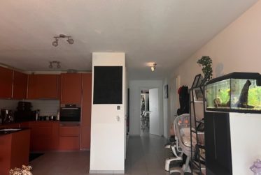 Charmant appartement traversant avec jardin