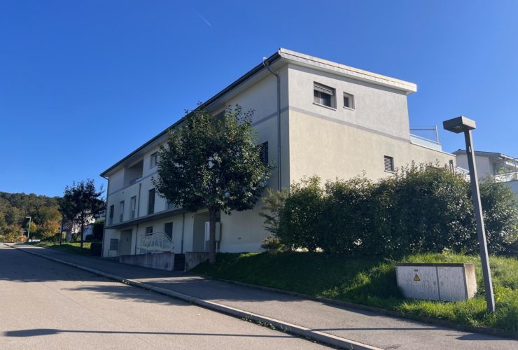 Charmant appartement traversant avec jardin