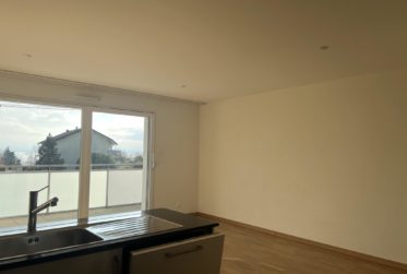 Magnifique appartement avec échappée sur le lac !