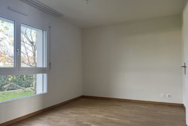 Magnifique appartement avec échappée sur le lac !