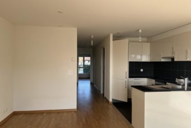 Magnifique appartement avec échappée sur le lac !