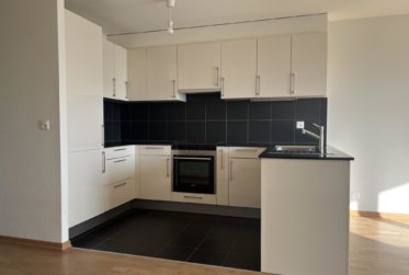 Magnifique appartement avec échappée sur le lac !