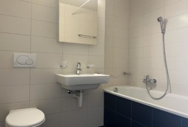 Magnifique appartement avec échappée sur le lac !